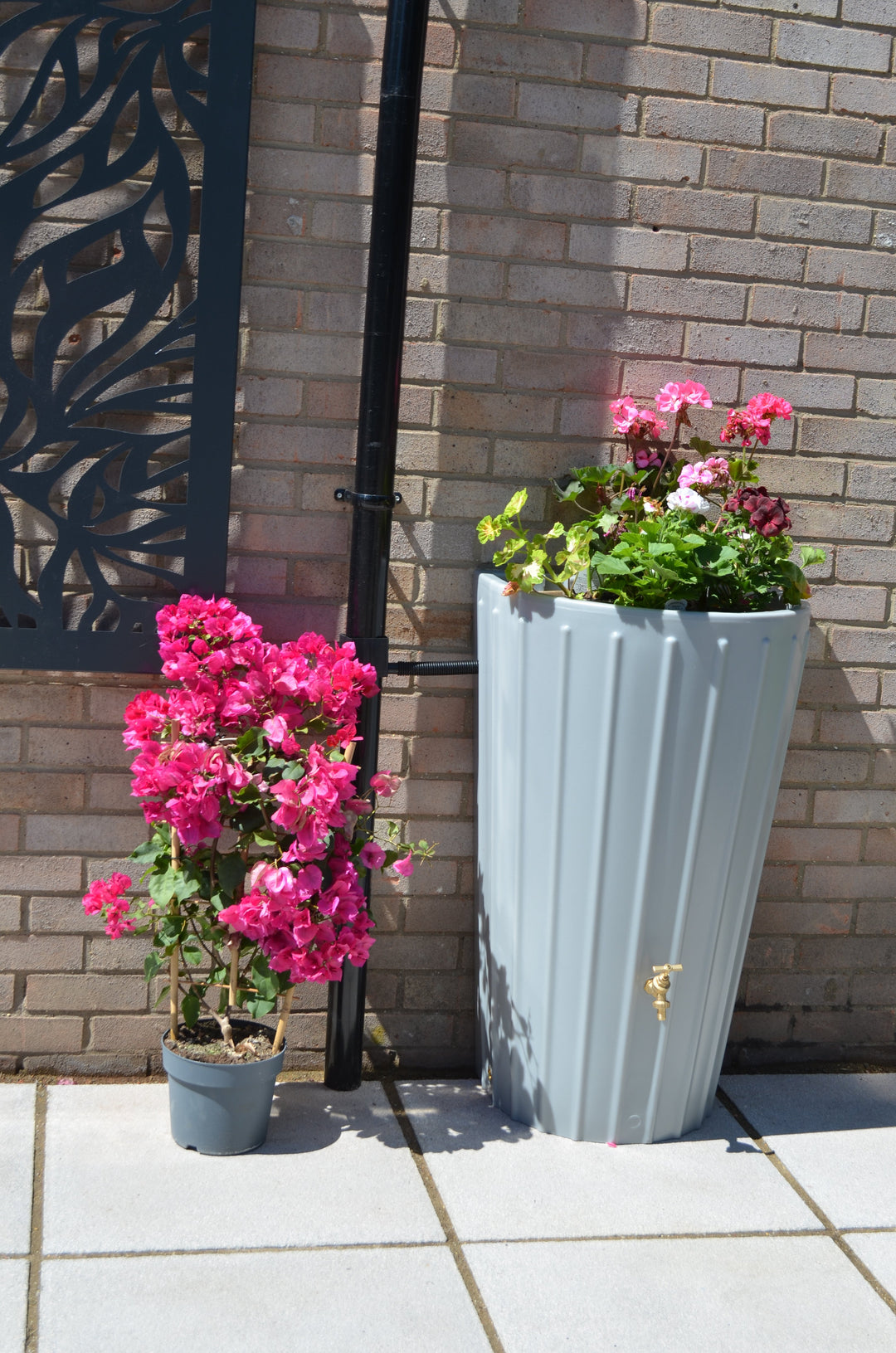 Mini Cosmo Water Butt Planter in Grey