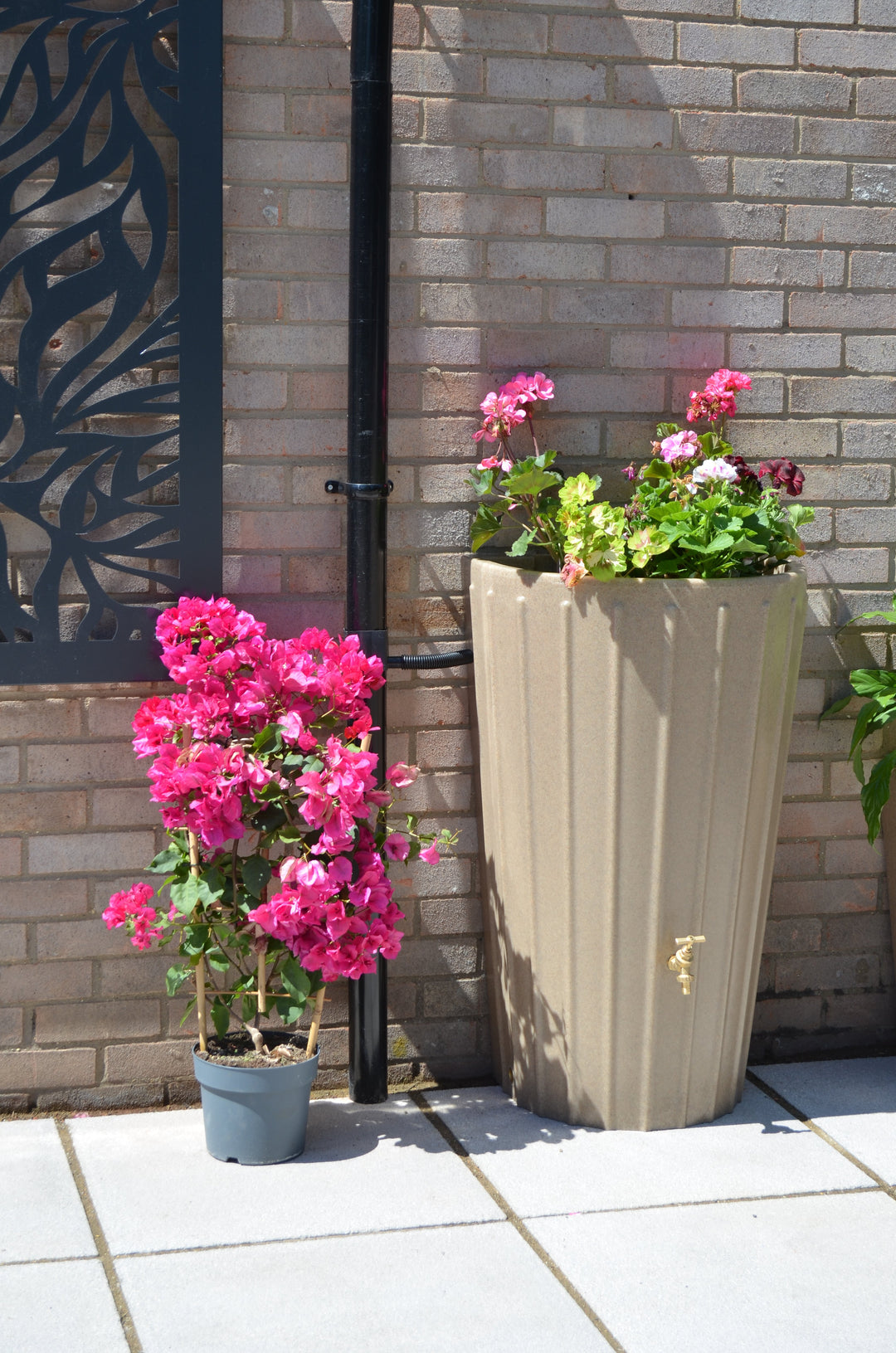 Mini Cosmo Water Butt Planter in Sandstone