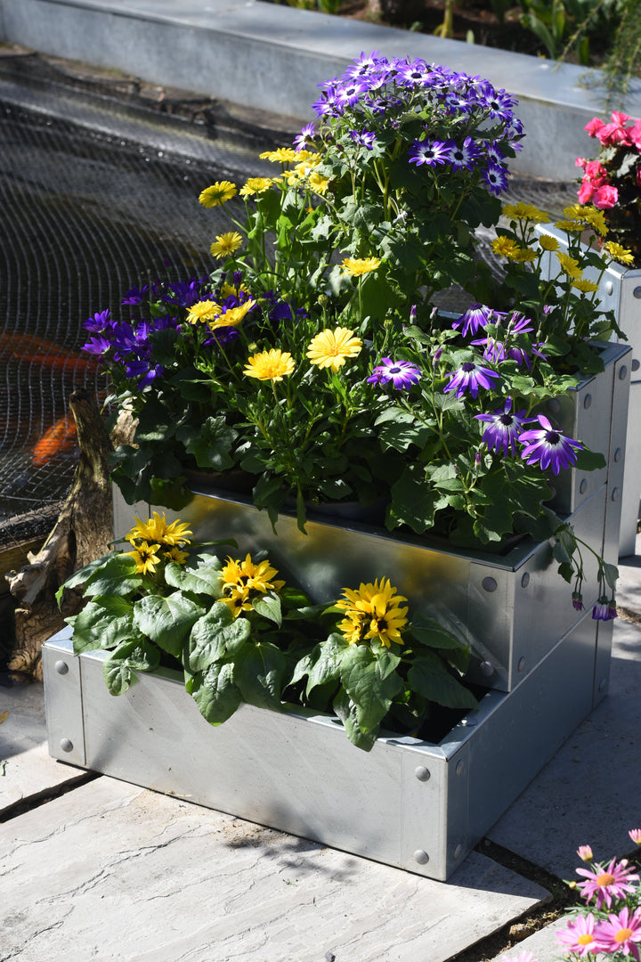 The Three Tier Raised Bed / Galvanised Planter