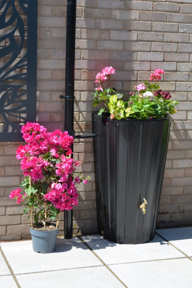 Mini Cosmo Water Butt Planter in Black